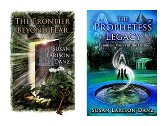 Susan Larison Danz projects